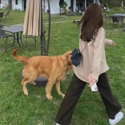 选老顶